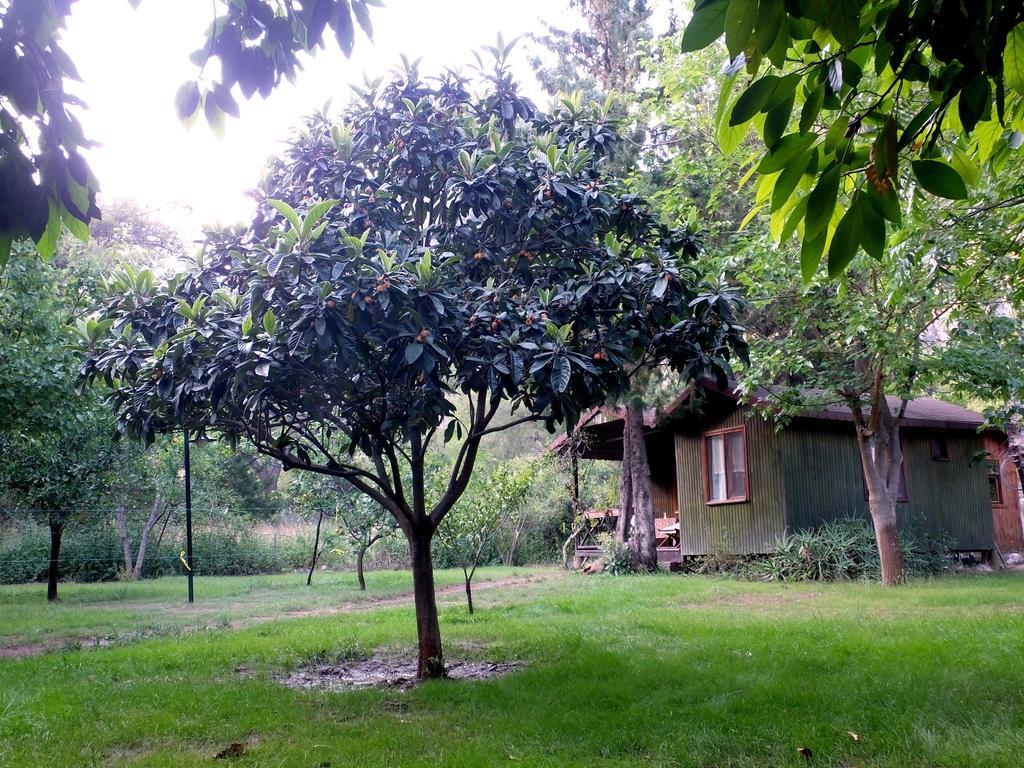 Kibala Hotel Çıralı Exterior foto